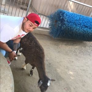 Meet your Posher, Pablo